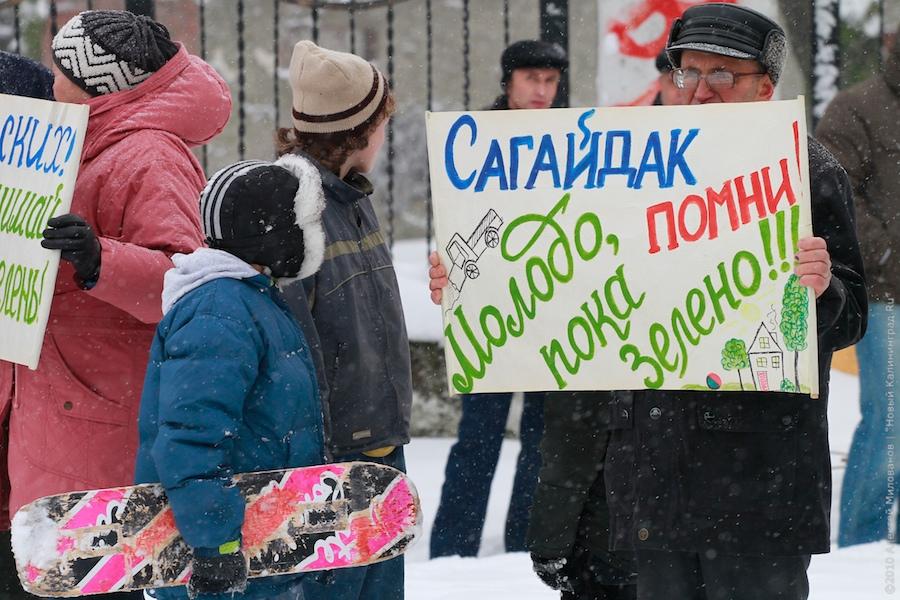 "Зеленые терминаторы": репортаж "Нового Калининграда.Ru"